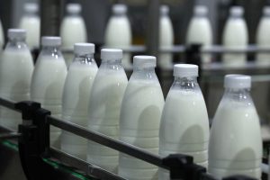 Стало известно, как могут навредить организму обезжиренные продукты