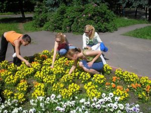 В&nbsp;Нижегородской области стартовал конкурс трудовых подростковых бригад