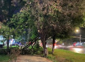 13 109 нижегородцев остаются без электричества после урагана
