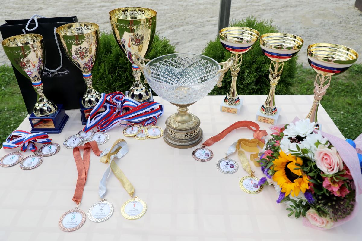 По итогам стартов определялся победитель Кубка губернатора Нижегородской области, а также чемпион России в командных соревнованиях