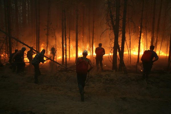 Площадь лесного пожара в Воротынском районе достигла 4110 гектаров