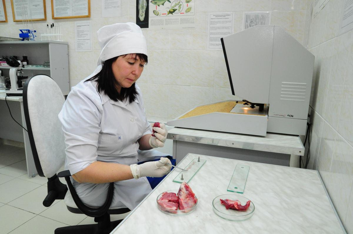Специалисты нашли кишечную палочку в мясе марийского производства