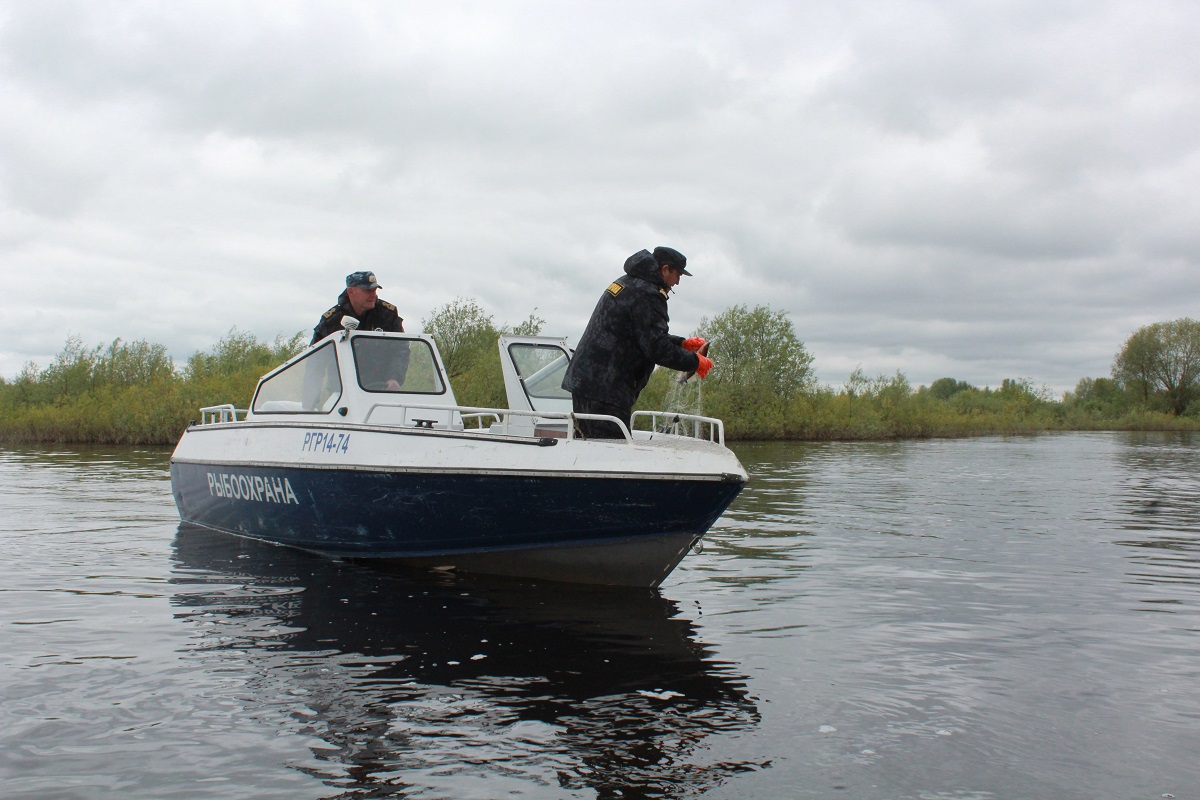 На Чебоксарском водохранилище и его притоках сняты ограничения на рыбную ловлю