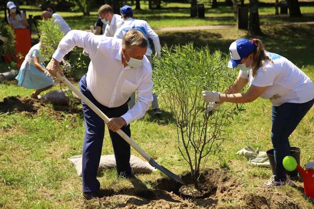 «Мы высадили деревья в честь работников Горьковского автомобильного завода», – отметил Евгений Люлин