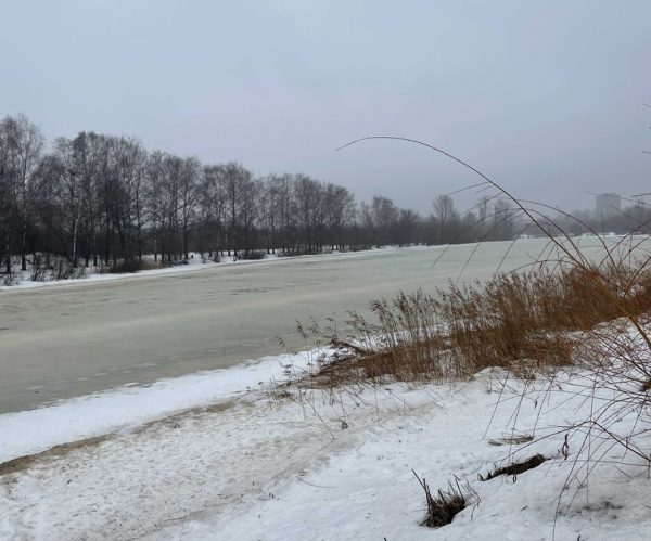 >40-летний рыбак провалился под лед и утонул в Воскресенском районе
