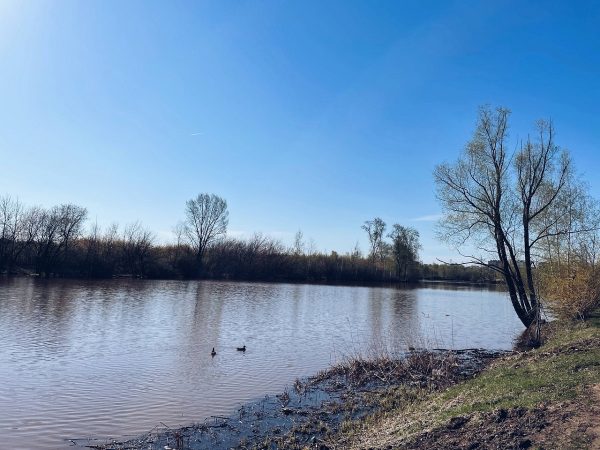 Еще двое мужчин утонули в Нижегородской области за выходные