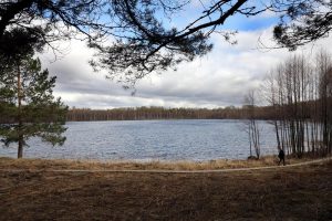 Восемь человек утонули в Нижегородской области за последние четыре дня