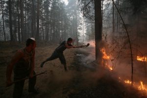 Около 400 граждан и&nbsp;организаций привлекли к&nbsp;ответственности за&nbsp;нарушение пожарной безопасности в&nbsp;регионе с&nbsp;начала года