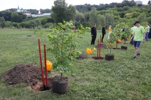 В Нижнем Новгороде высадят 5000 деревьев до конца 2021&nbsp;года