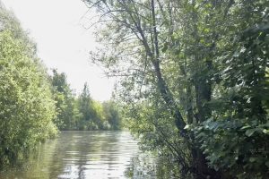 Мужчина утонул в Сокольском районе: это 16‑е несчастье за&nbsp;сезон
