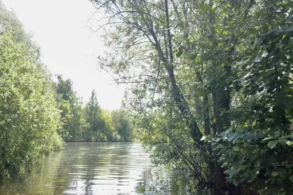 >Пьяный житель Уренского района пытался перейти реку вброд и утонул