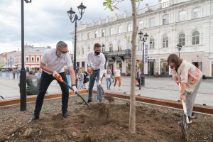 Ландшафтная композиция с яркими растениями появится в сквере имени Евгения Евстигнеева в Нижнем Новгороде