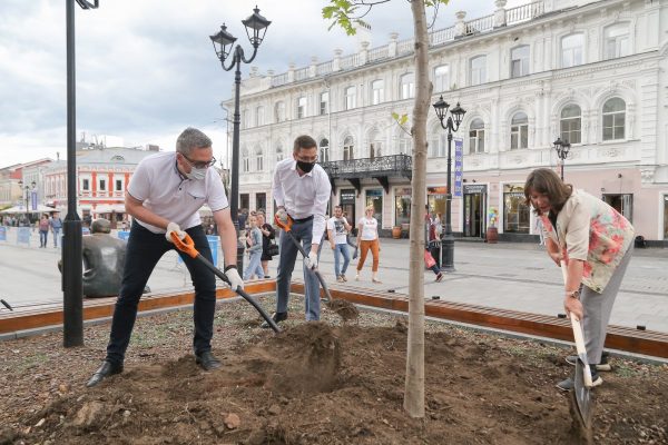 Ландшафтная композиция с яркими растениями появится в сквере имени Евгения Евстигнеева в Нижнем Новгороде
