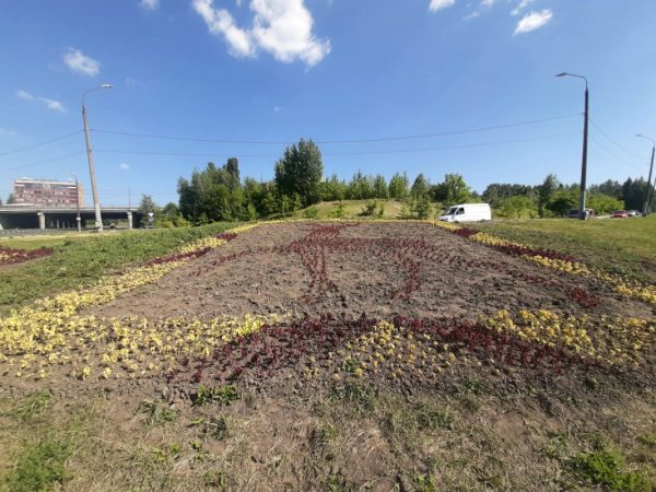 Фото дня: цветочный олень появился в Нижнем Новгороде
