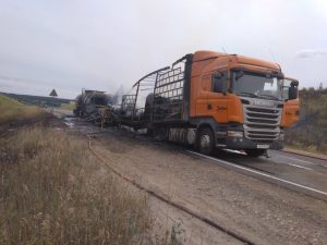 Дорога в огне: регион накрыла волна страшных ДТП