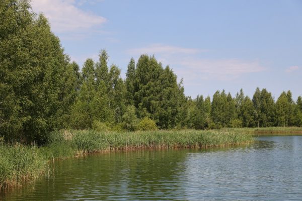 На Пермяковском озере в Нижнем Новгороде утонул мужчина