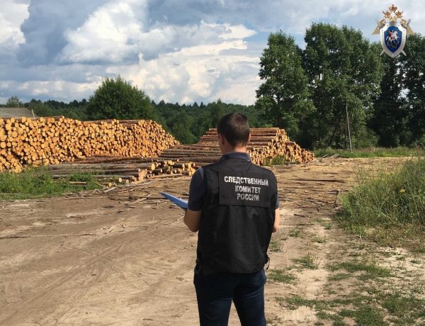 Мужчина погиб при обвале досок на лесопилке в Ветлужском районе