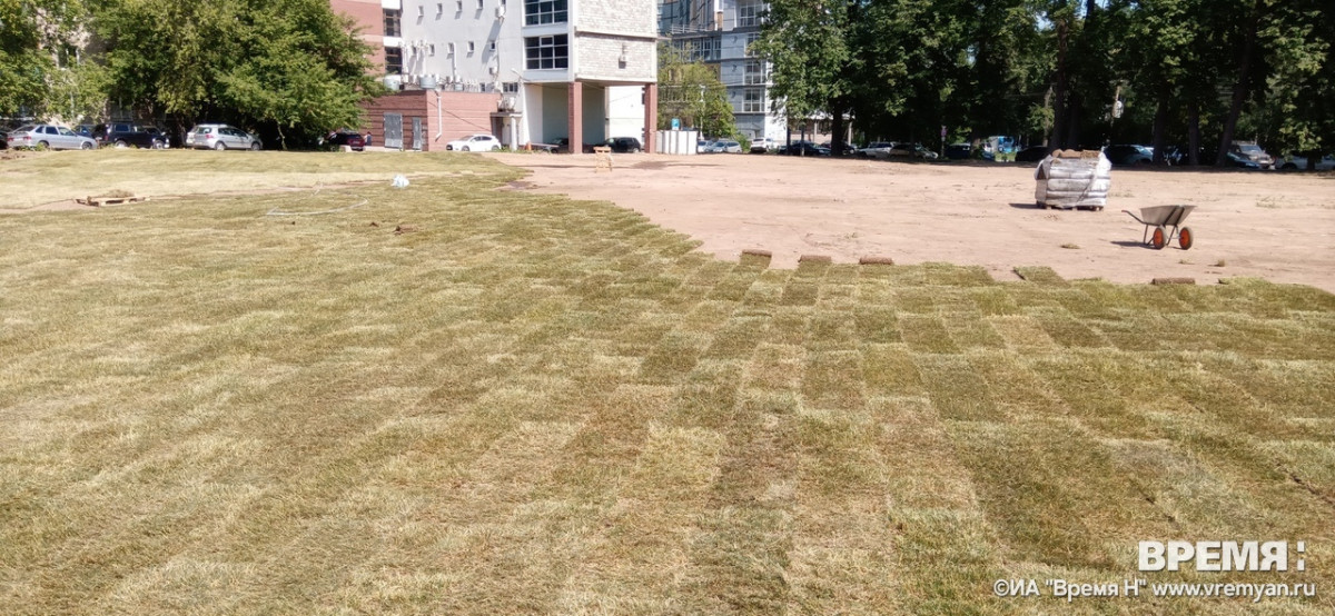 На месте несостоявшейся стройки на улице Белинского в Нижнем Новгороде укладывают газон