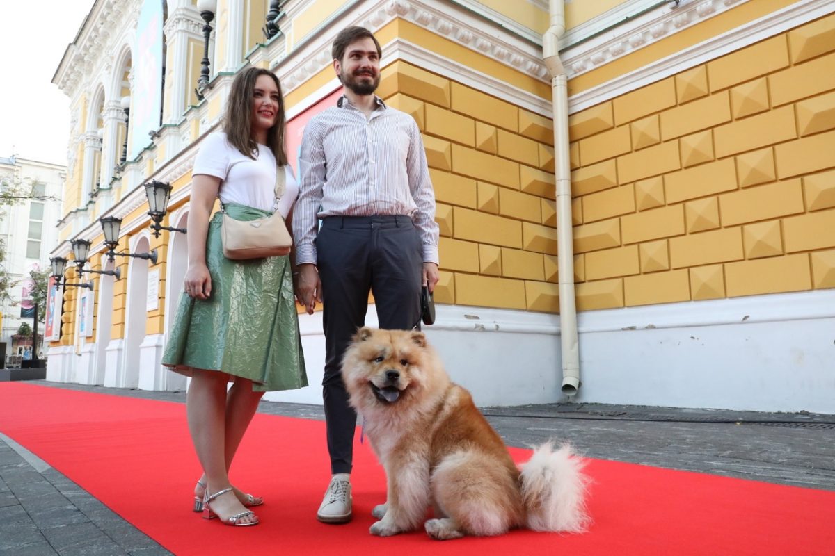Фестиваль нового российского кино впервые состоялся в Нижнем Новгороде в июле 2017 года, теперь это стало доброй традицией