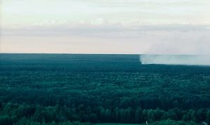 Два лесных пожара ликвидировали в&nbsp;Нижегородской области за&nbsp;прошедшие сутки