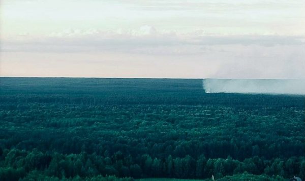 Два лесных пожара ликвидировали в&nbsp;Нижегородской области за&nbsp;прошедшие сутки