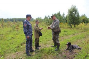 Сезон охоты на пушных животных открывается с 15 сентября в Нижегородской области