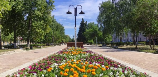 Благоустройство сквера на Юбилейном бульваре выполнено на&nbsp;83%
