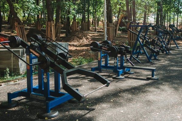 Спортивная зона с 4577 объектами разместится в нижегородском парке «Швейцария»