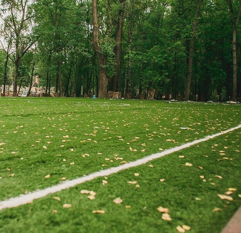 Площадка для мини-футбола с раздевалками, душевыми и туалетом появится в парке «Швейцария»