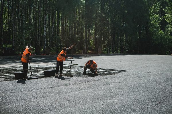 В&nbsp;парке «Швейцария» на&nbsp;75% выполнены работы по&nbsp;созданию спортивного парка