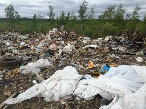 Две несанкционированные свалки ликвидировали в Артемовских лугах