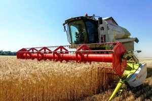 Нижегородские аграрии приступили к&nbsp;уборке урожая
