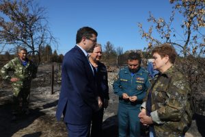 Глеб Никитин и&nbsp;замминистра МЧС России Николай Гречушкин обсудили ситуацию с&nbsp;природными пожарами