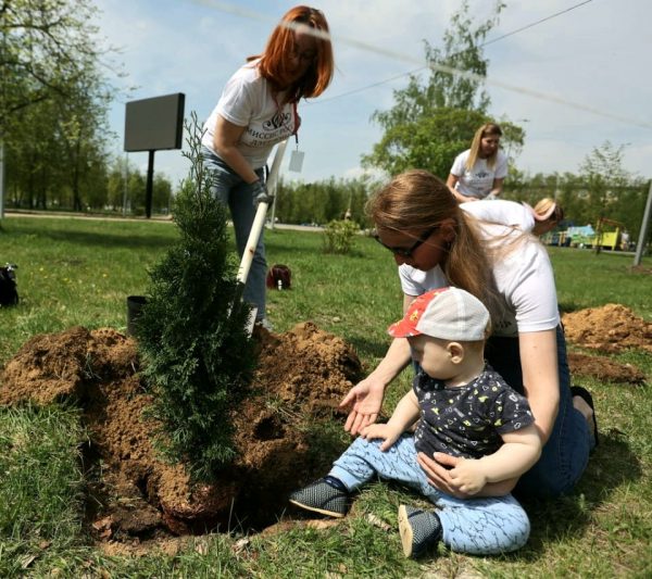 В Дзержинске проходит масштабное озеленение