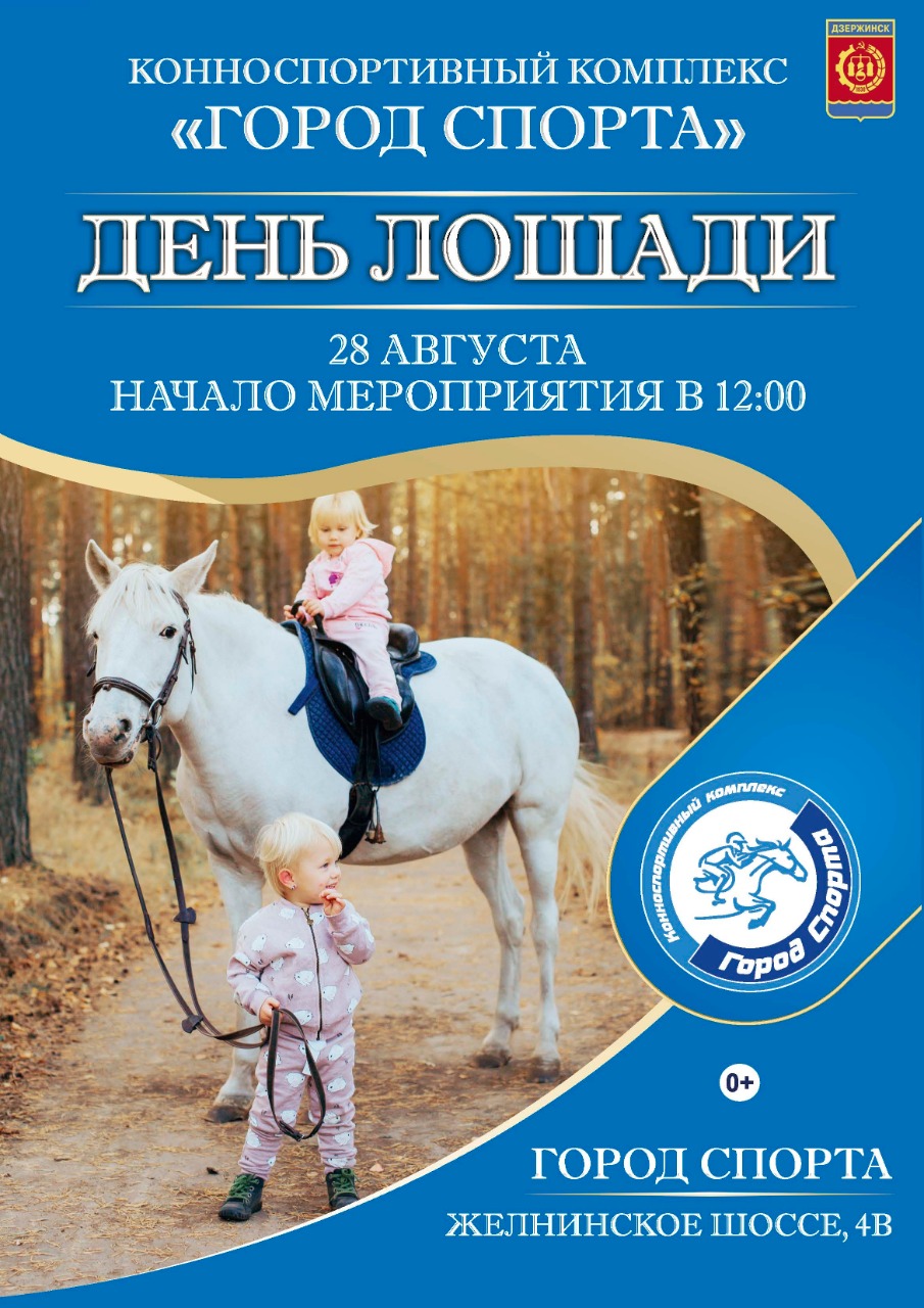 День верхового. Календарь лошадь. Дзержинск город лошади. Режим дня лошади. Лошадь и дни недели.