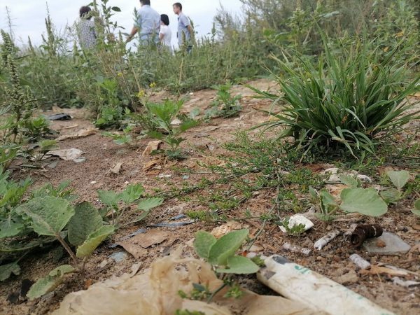 Правительство Нижегородской области рассматривает возможность включения несанкционированной свалки в Дзержинске в проект «Чистая страна»