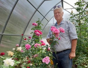 Августовские цветы Павла Пахтусова