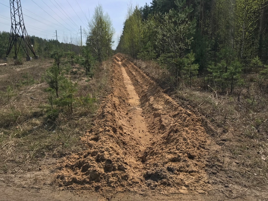 156 деревьев вырубят в Сормовском районе из-за угрозы пожаров
