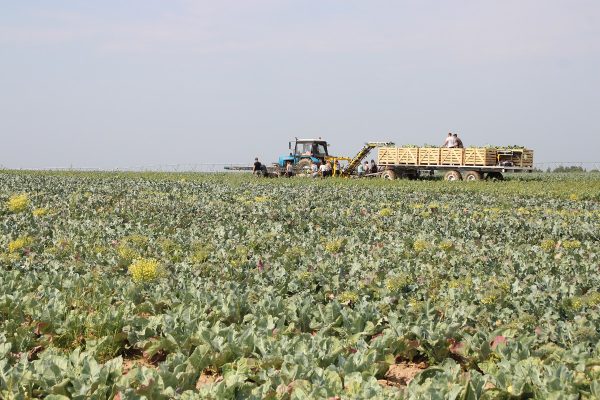 Андрей Саносян: «Программа комплексного развития сельских территорий может стать важнейшим инструментом для создания современной инфраструктуры»