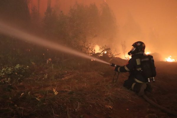 Почти в два раза сократилась площадь активного горения лесов в Нижегородской области