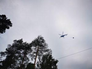 Режим чрезвычайной ситуации отменили в нижегородских и мордовских лесах