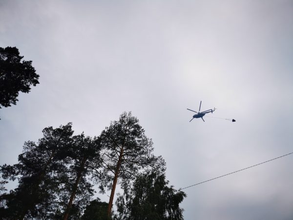 Режим чрезвычайной ситуации отменили в нижегородских и мордовских лесах