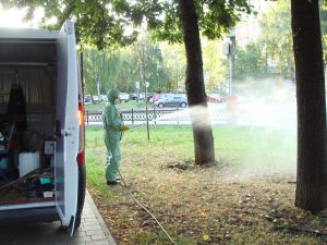 Скверы и парки повторно обработали от клещей к 800-летию Нижнего Новгорода