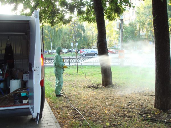 Скверы и парки повторно обработали от клещей к 800-летию Нижнего Новгорода