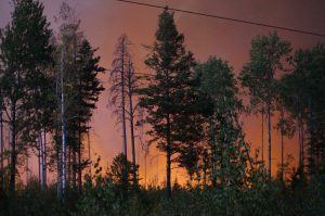 Фронт лесных пожаров находится в 1,5 километрах от Сарова