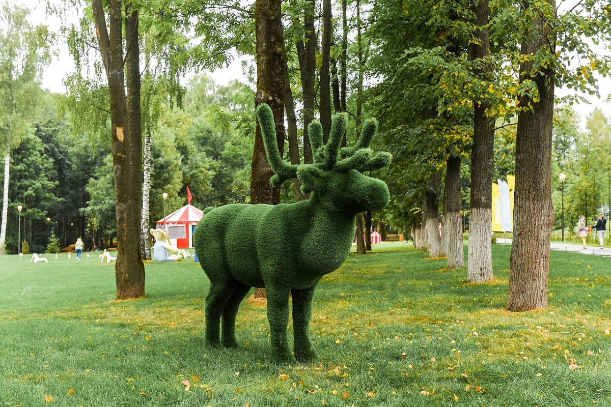 В парке гостей встречает зеленый олень