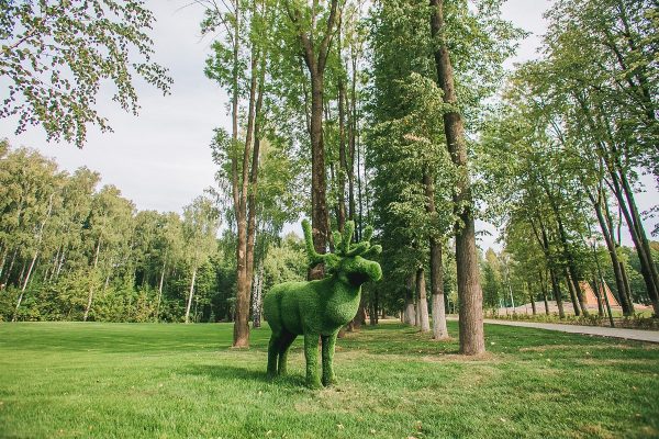 Представители «Швейцарии» рассказали, какая часть парка будет доступна нижегородцам с 23 августа