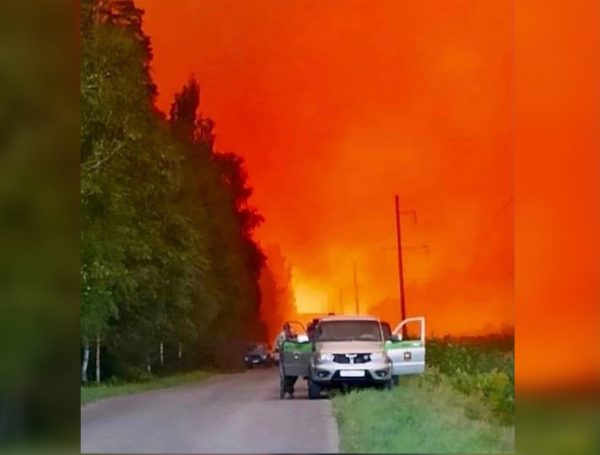 >Лесной пожар из Мордовского заповедника перекинулся на поселок в Первомайском районе