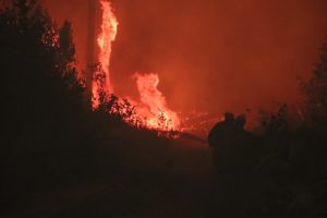 В&nbsp;Первомайском округе локализовано четыре очага природных пожаров на&nbsp;площади 365 гектаров