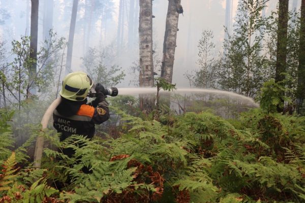 Жаркая погода и порывистый ветер усложняют работу: около тысячи нижегородских спасателей борются с огнем в Мордовском заповеднике